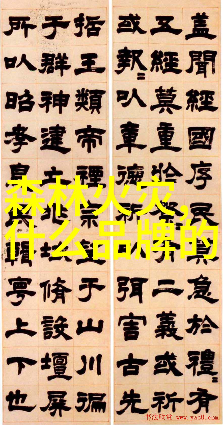 干洗技艺揭秘如何高效清洁衣物