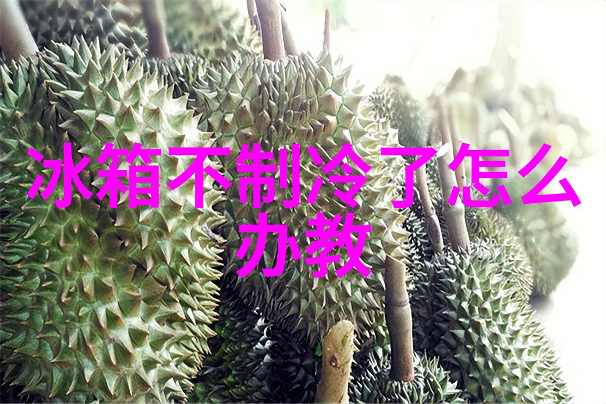 未知的房间揭秘装修材料大全与神秘图片