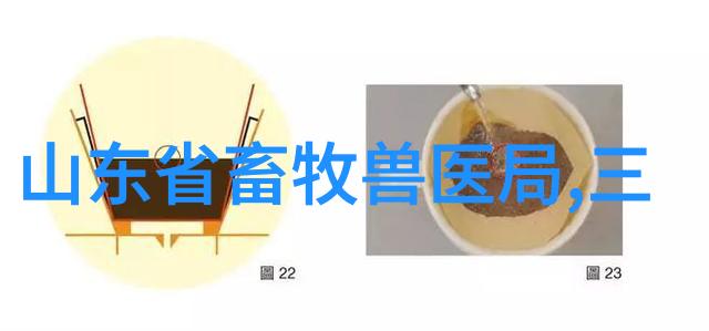 从零到英雄探索个人空间改善生活品质之旅节能省电助力全球绿色发展