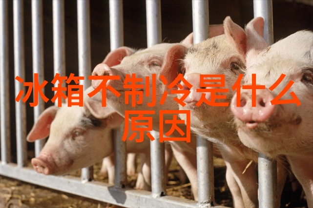 高C坐地铁应对技巧如何在拥挤的地铁中保持舒适