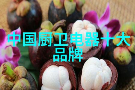 家用电器大集合从厨房到卫生间点亮生活的方方面面