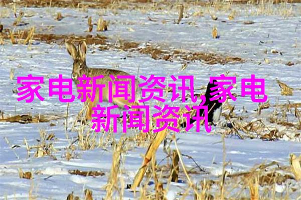 导入废液循环进程