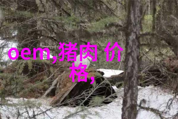 全自动steel structure processing equipment对环境有何影响