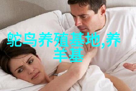 绿色健康如何在上海办公室装修中融入自然元素