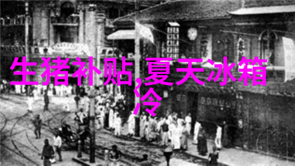 中兴应用商店探索智能生活的新纪元