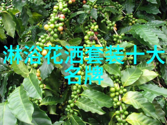 家电智能化时代家用冰框调温策略有哪些变化