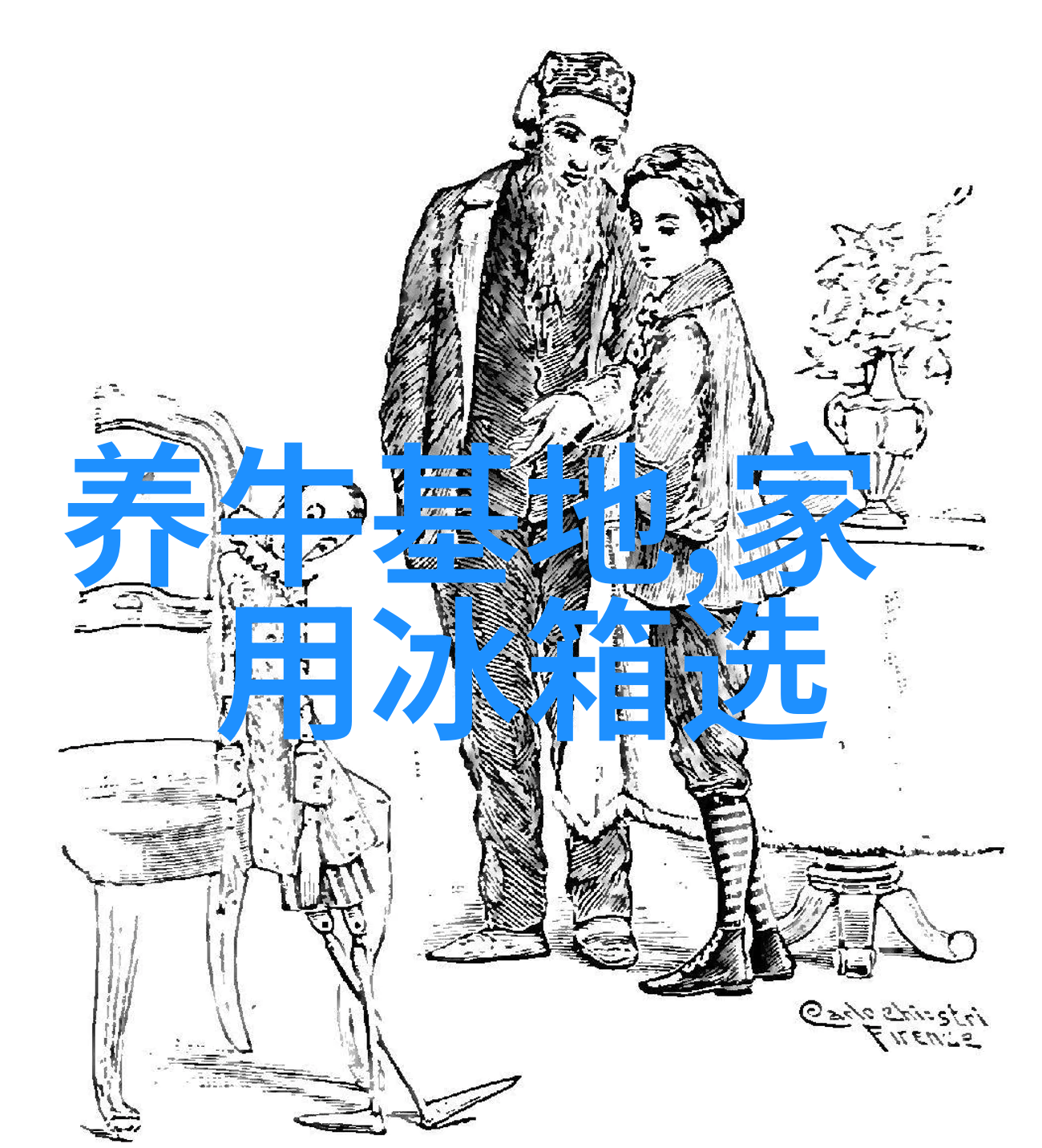 销售人气王 康佳双门冰箱深得消费者心