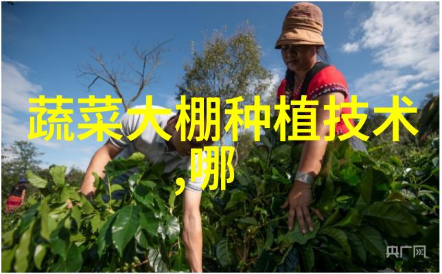 地漏深渊之光