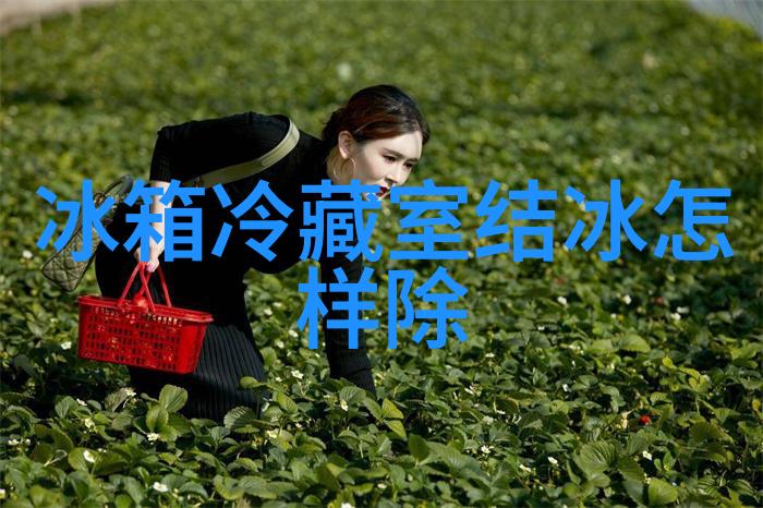 学霸C小混混逆袭故事学霸的成长与小混混的转变