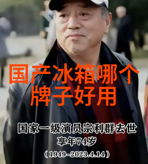 冰箱的温度调控让食物更健康家居生活更舒适