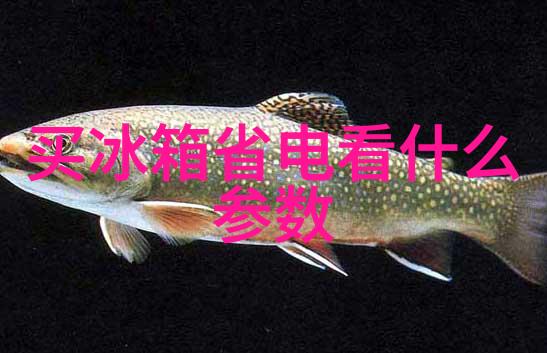 波纹之歌丝网填料的规整与自由