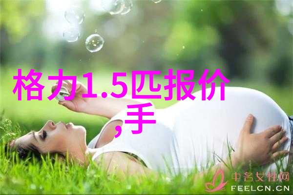 国内自主研发的关键算法有哪些应用前景