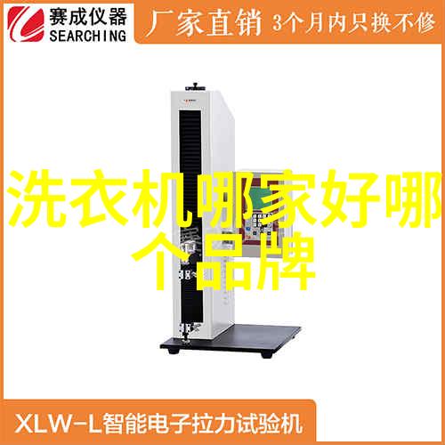 小吉的逆袭从街头猫咪到高级宠物