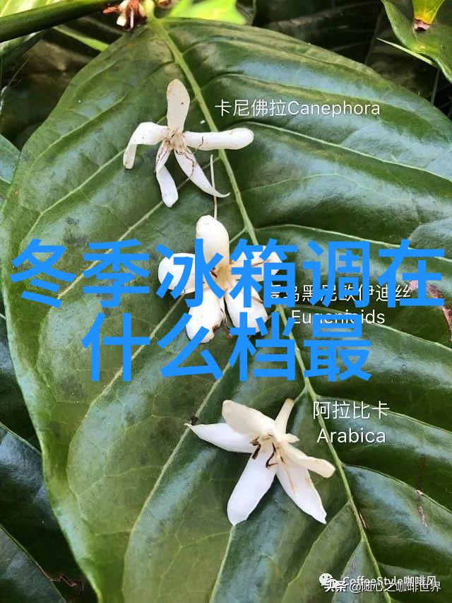 喷漆房废气VOCs处理方案 - 色彩之家高效的室内环境改善计划