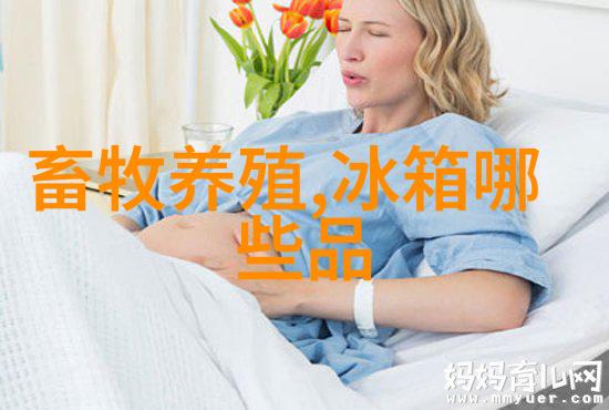 揭秘未来厨房最新款式图片大全开启智能烹饪新篇章