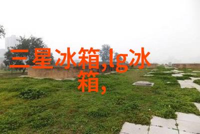 时钟芯片技术精确的时间计量核心