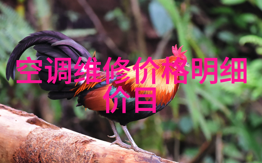u型槽排水沟生产厂家专业制造高效节水的u形槽式排水系统