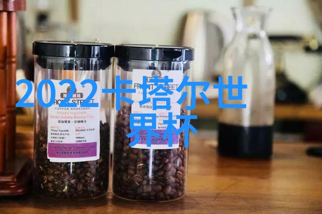 在车辆自动驾驶技术中怎么保证在各种天气和照明条件下都能保持良好的图像质量
