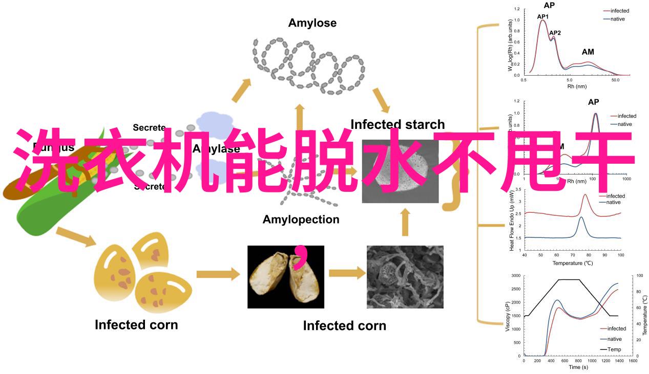 家装水电平面图研究一种系统化的设计方法与实践案例分析