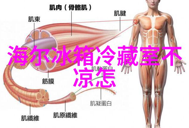 降膜蒸发器之谜如何解开其超越传统蒸发技术的奥秘