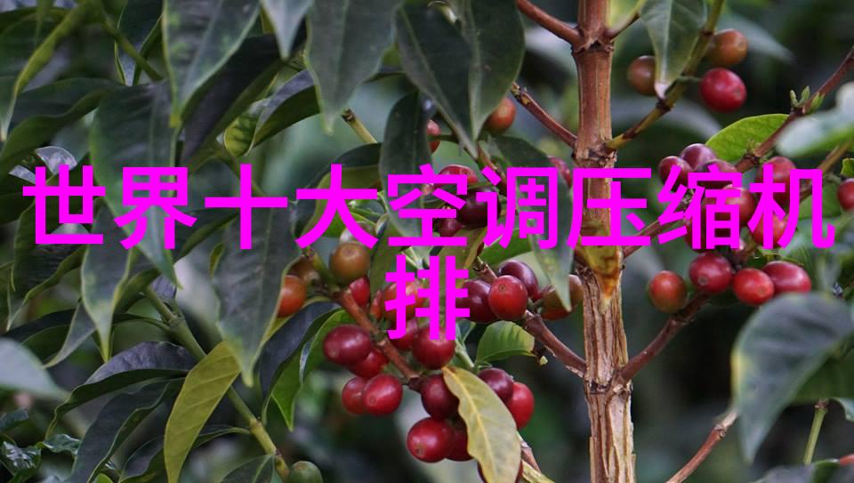 双端面机械密封维护与保养技巧