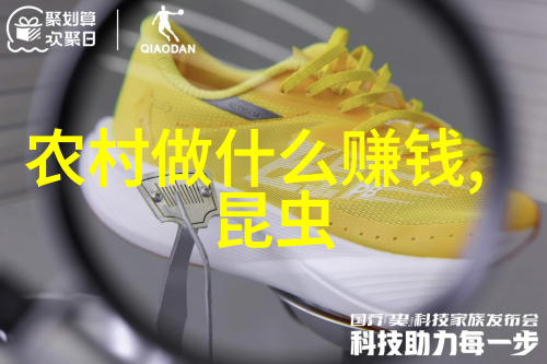规整填料的精髓打造卓越工程基础