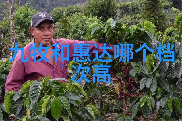 好太太吸油烟机售后维修电话-解决家中烹饪不适问题的专业服务 hotline