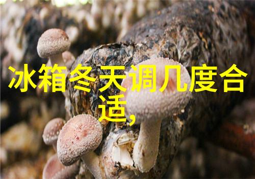 管径探秘反应器尺寸的奥秘与艺术