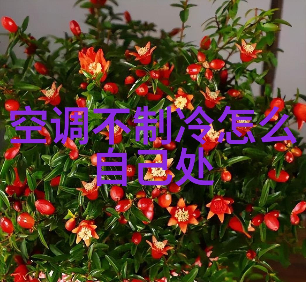 在购买二手房时应注意看报价中的局部装修含义是什么