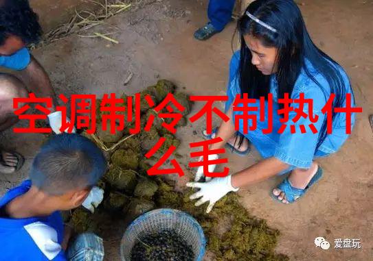 波纹填料型号规格解析与应用