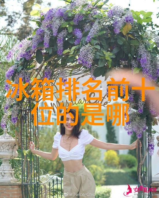 卫浴文化探究东方洗漱习惯与西方对比解析