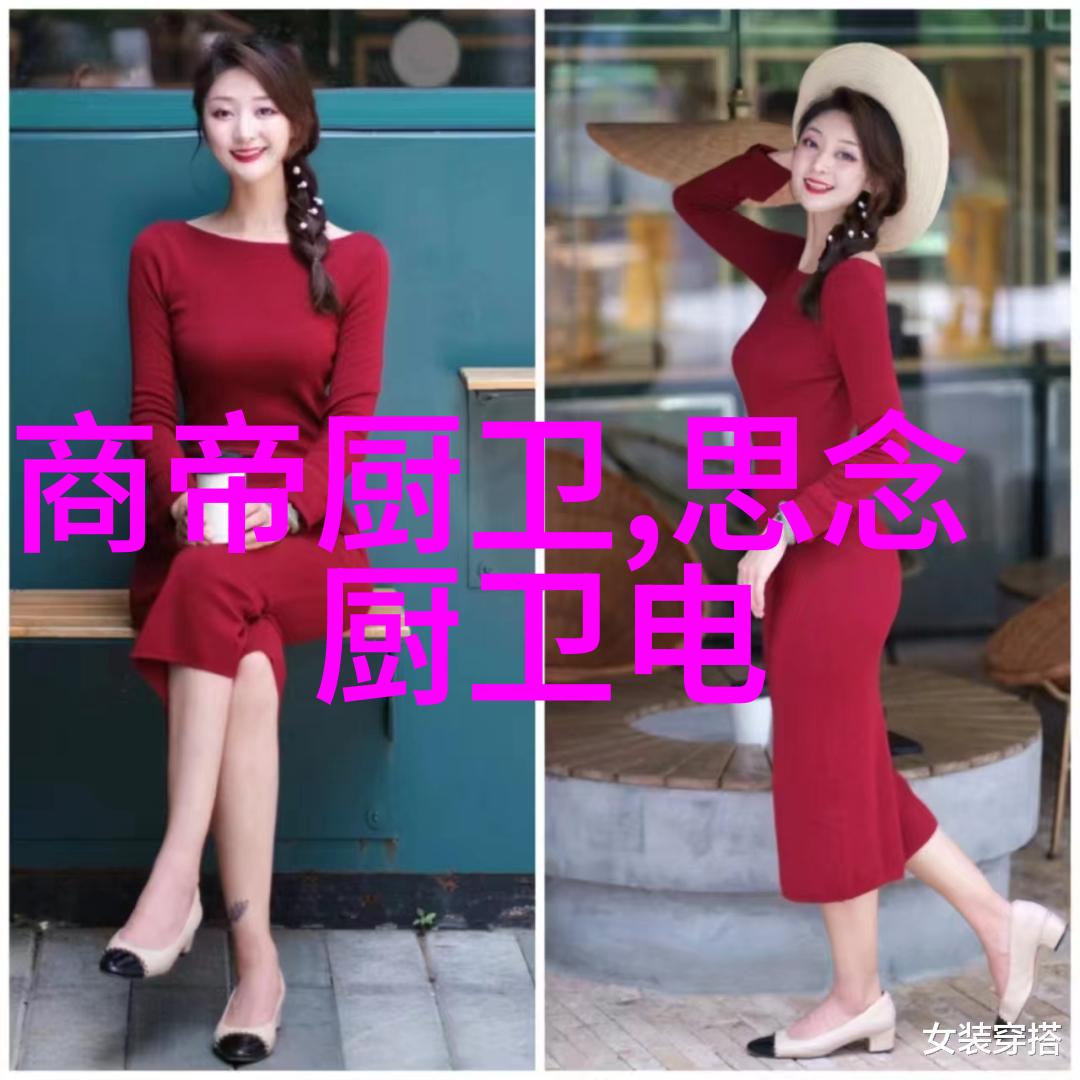 揭秘芯片世界从微小的电子精灵到科技巨石的崛起