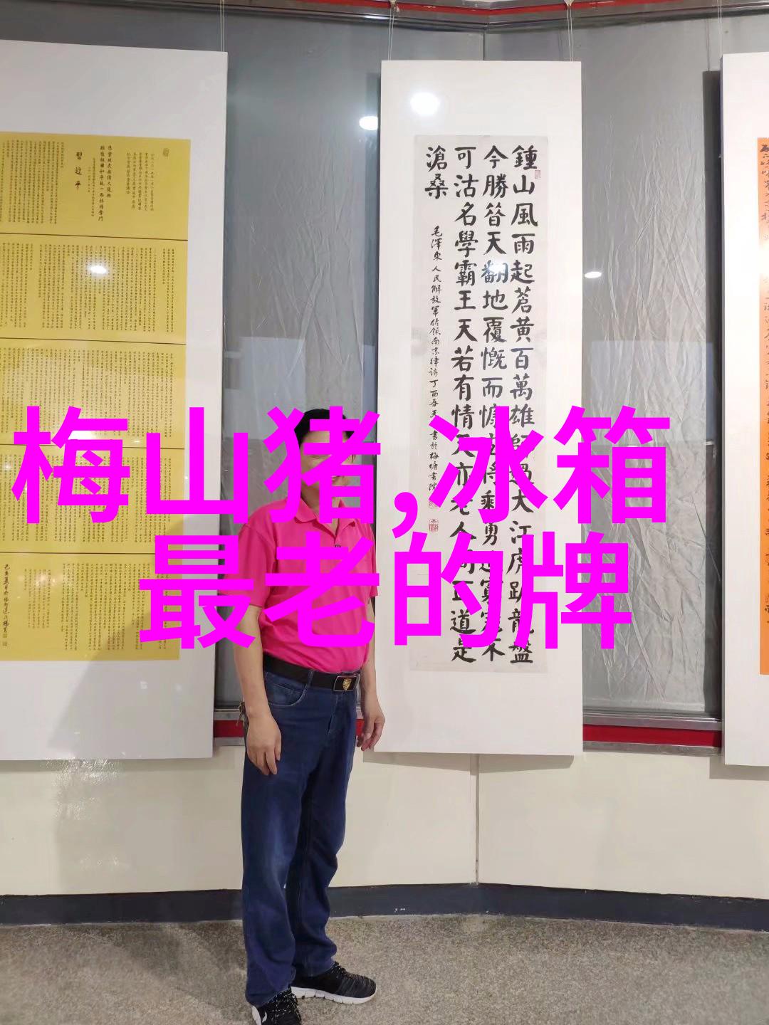 小米商城对于消费者隐私保护措施是否充分