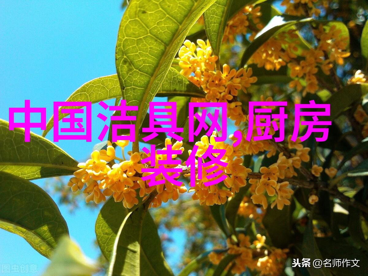 小米遥控空调与冰洗洗衣机全方位对比评测