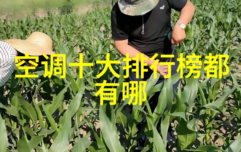 膜分离原理-薄膜过滤技术在水处理中的应用与创新