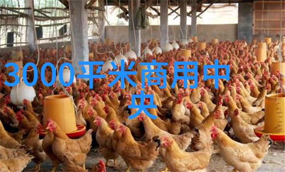 小鸭圣吉奥游戏攻略冰箱秘密与宝藏寻找技巧