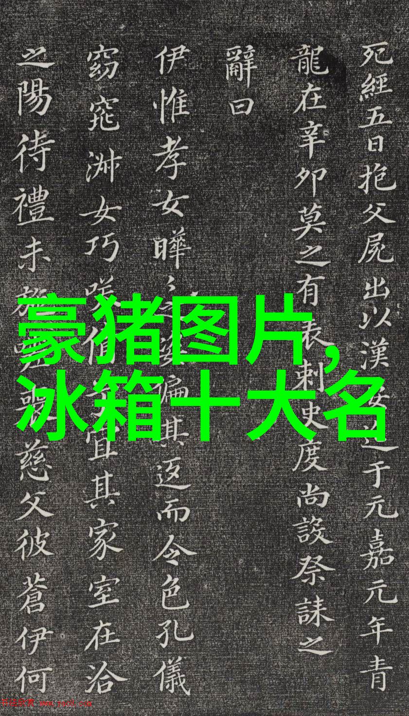 如何维护和清洁小鸭迷你洗衣机