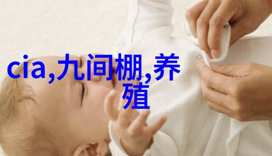 粉碎机器人高效强力粉碎设备