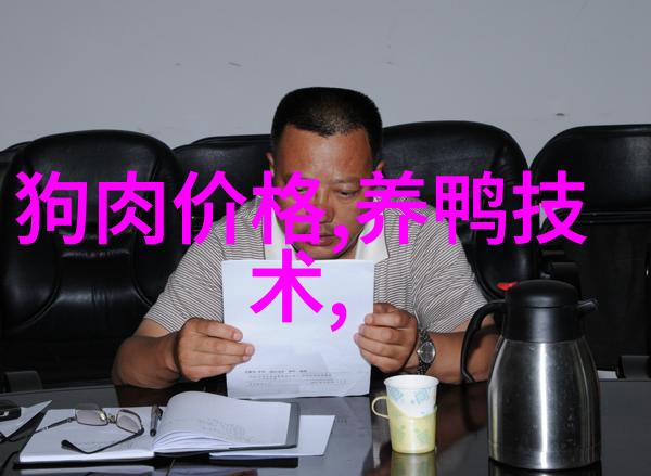 城市交响曲一辆公交车一段视频和生命的瞬间