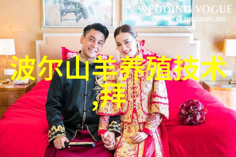 高效生产所需优化丝网规整填料使用策略
