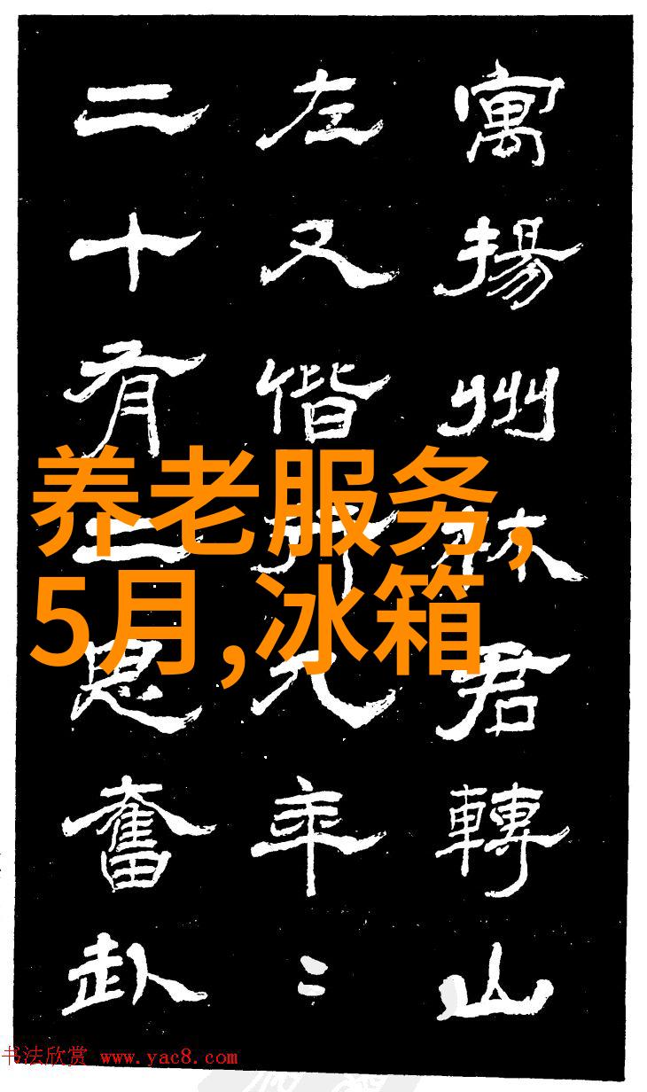 红绿灯的节奏城市交通的调度者