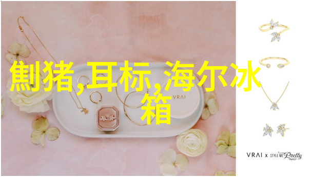厨房油水分离机烹饪伙伴中的魔法器具