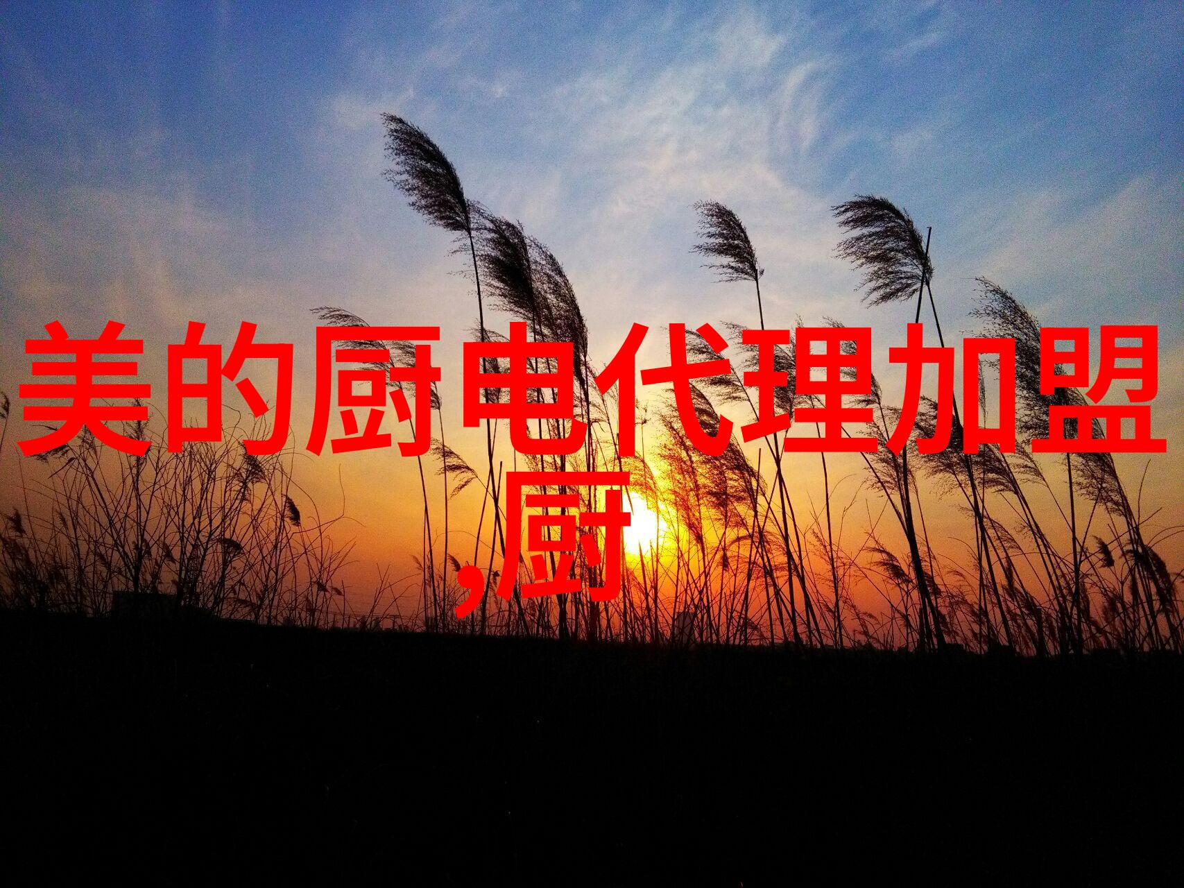化工丸剂机械精细制备的艺术与科技交融