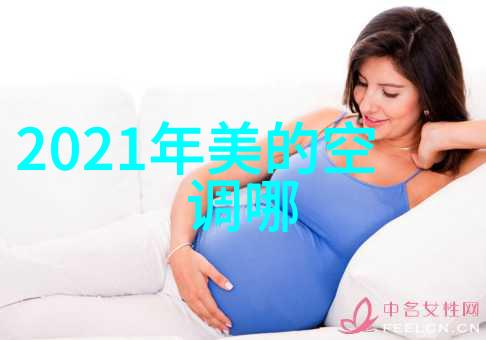 夏日冰箱运转优化档位调节的艺术与科学