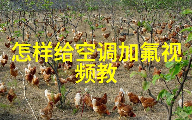 冰山王爷的废妾txt我是他冷漠心尖上的那一抹温暖