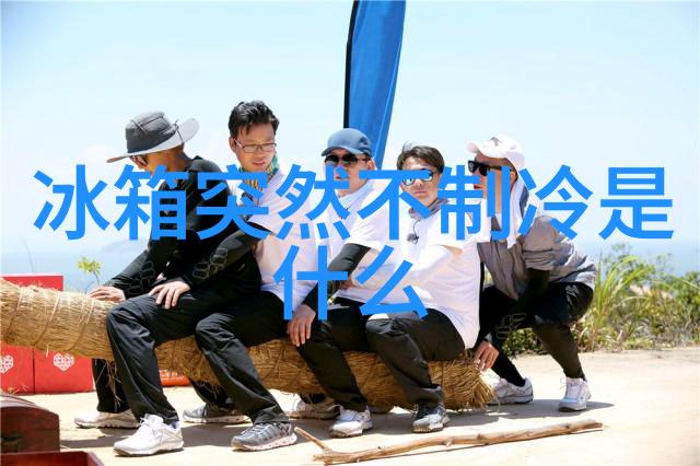工程机械的新贵提升施工效率的升降机系统
