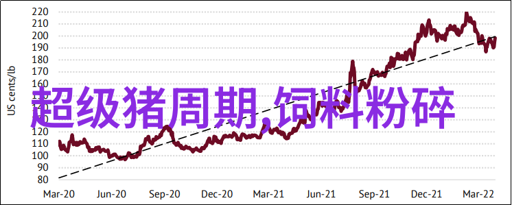 小型洗衣机的秘密生活它的故事比你想象中的更乱