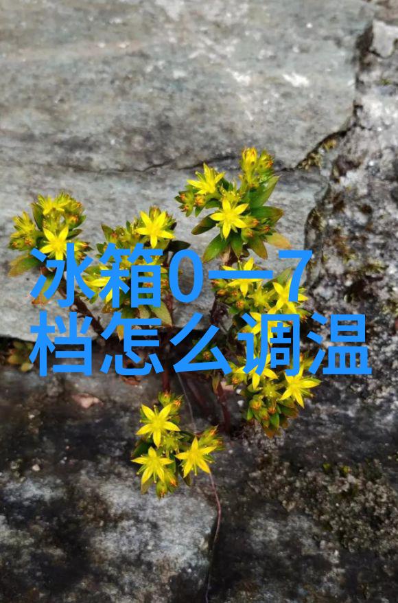 小米洗衣机智慧家电的新标准清洁生活的便捷选择