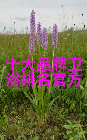 鸭翼下的天空小鸭的奇妙世界