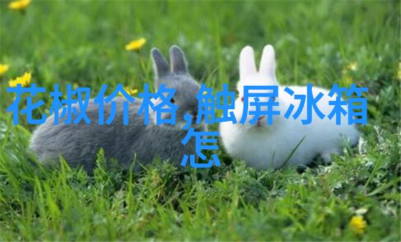 我和微波炉的故事我的不懈追求如何让微波炉变成厨房里的好伙伴